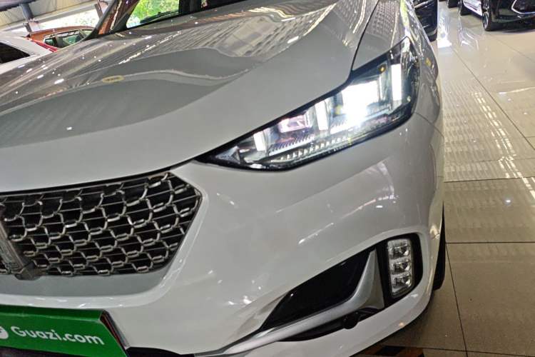 Used Wey VV6 2021 2.0T Two-Wheel Drive Smart Protection+