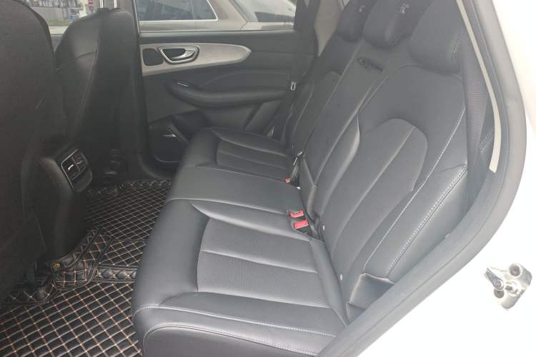 Used Roewe RX5 2022 330TGI Automatic National Style Edition Left Rear Seat