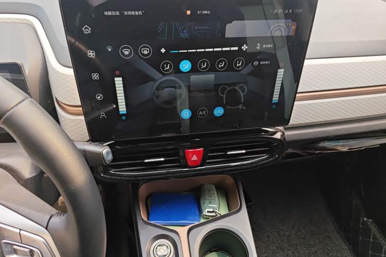 Used SOL E10X 2022 Flower Fairy Style Baby's Breath
