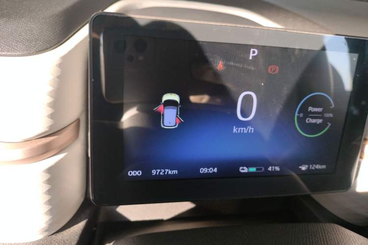 Used SOL E10X 2022 Flower Fairy Style Baby's Breath
