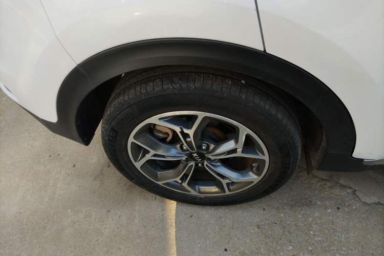 Used Kia KX5 2019 2.0L Automatic 2WD Comfort Edition