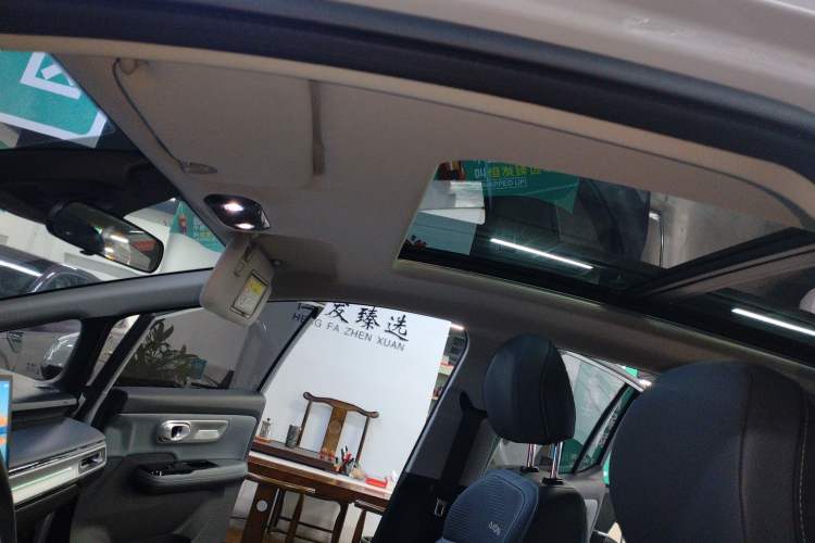 Used AION Y 2024 Plus 510 Intelligent Driving Version Headliner