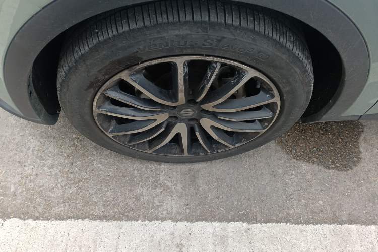 Used Leapmotor C11 2021 Performance Edition