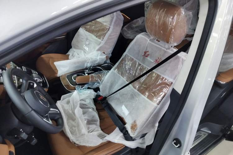 Used Hongqi HQ9 2023 2.0T Smart Connect Flagship Edition
