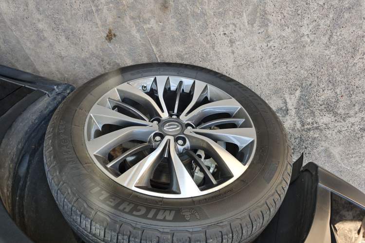 Used GAC Trumpchi GS8 2017 320T Two-Wheel Drive Luxury Smart Connectivity Version (7 Seats)