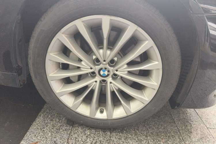 Used BMW 5 Series 2020 530Li Leading Edition Luxury Package