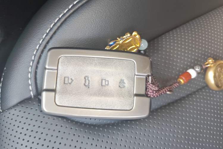 Used Tank 300 New Energy 2025 Hi4-T