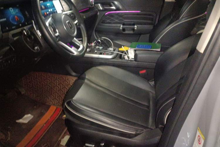 Used Tank 300 2021 City Edition 2.0T—Truly Stylish