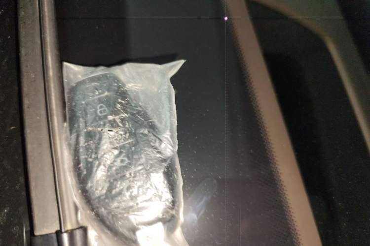 Used Denza N9 2025 Prestige Version
