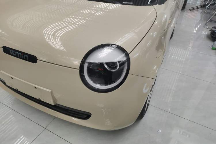 Used Qiyuan Lumin 2023 205km Xiangqin Version
