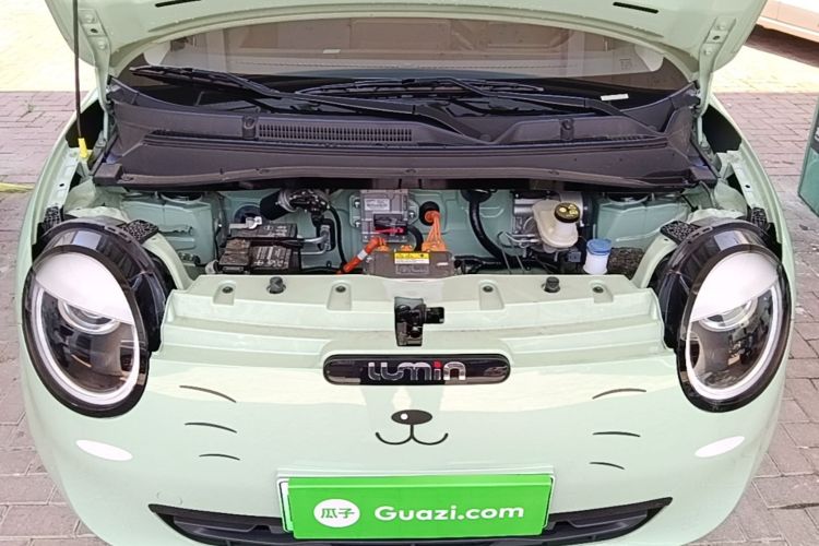 Used CHANGAN NEVO Lumin 2025 205 km Xiangqin Version