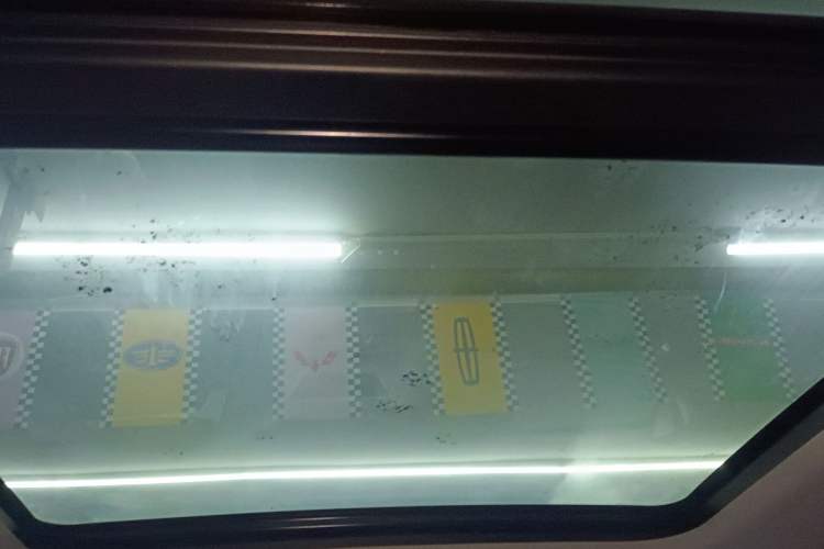 Used Haval DARGO 2024 2.0T DCT Chinese Rural Dog Edition Headliner