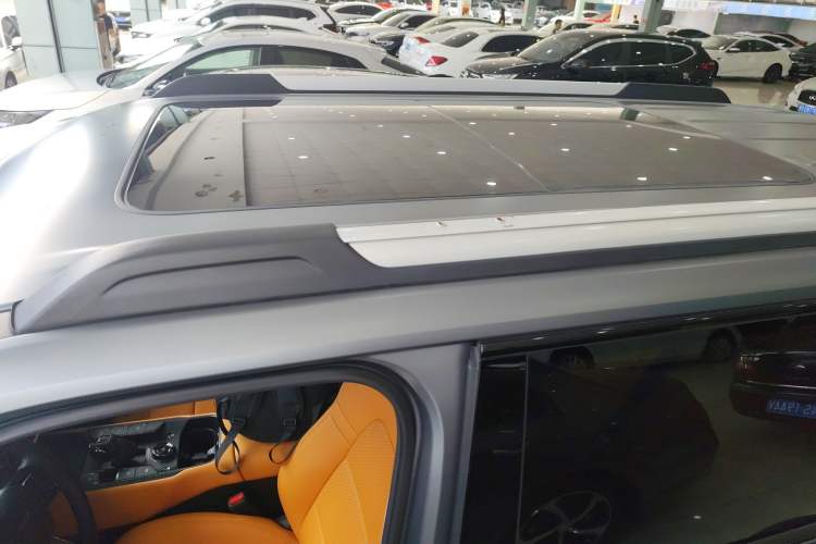 Used Haval Raptor New Energy 2024 Hi4 145 Pro
