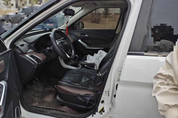 Used Bisu T3 2017 1.3T Manual Comfort Version
