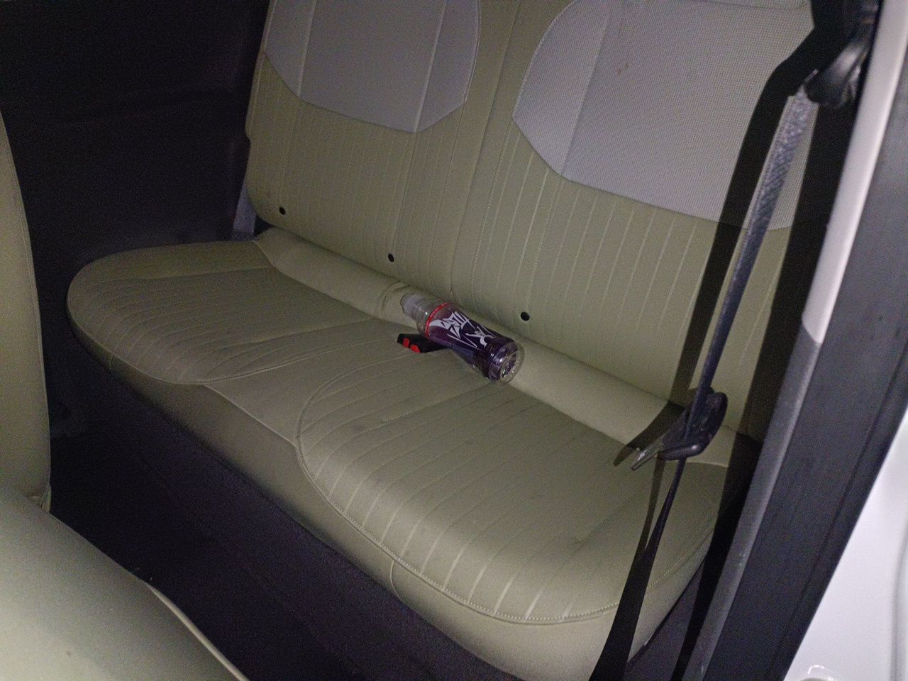 Geely Galaxy Panda 2023 Panda Mini 200km Endurance Bear — снимка 17