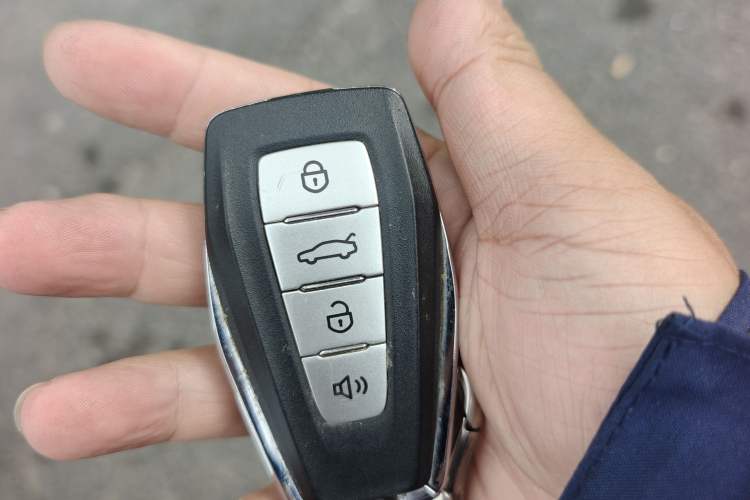 Used Geometry E Firefly 2022 401 km Linglong Tiger 4 Seats
