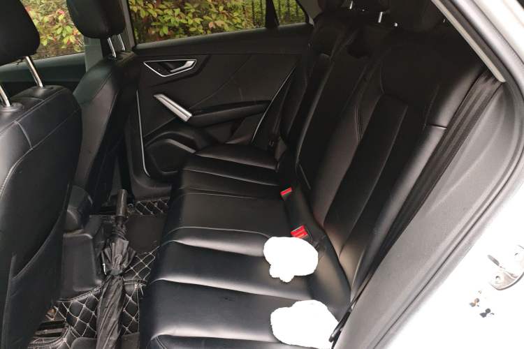 Used Audi Q2L 2021 35 TFSI Progressive Dynamic Edition Left Rear Seat