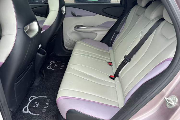 Used BYD Dolphin 2021 405 km Fashion Edition Left Rear Seat