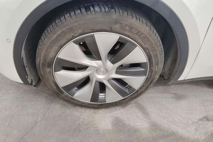 Used Tesla Model Y 2021 Standard Range Rear-Wheel Drive Version
