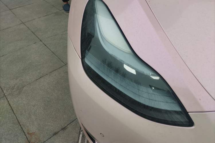 Used Tesla Model Y 2023 High-Performance All-Wheel-Drive Version
