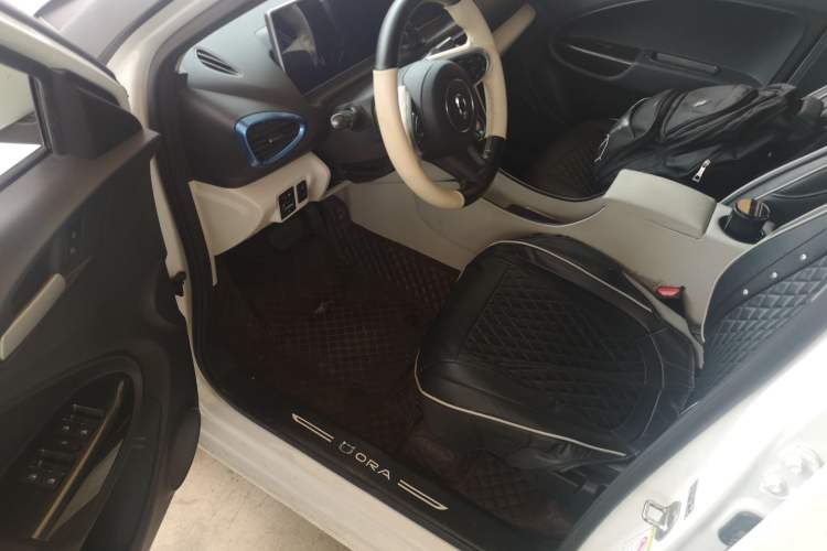 Used ORA White Cat 2020 305 km Luxury Version
