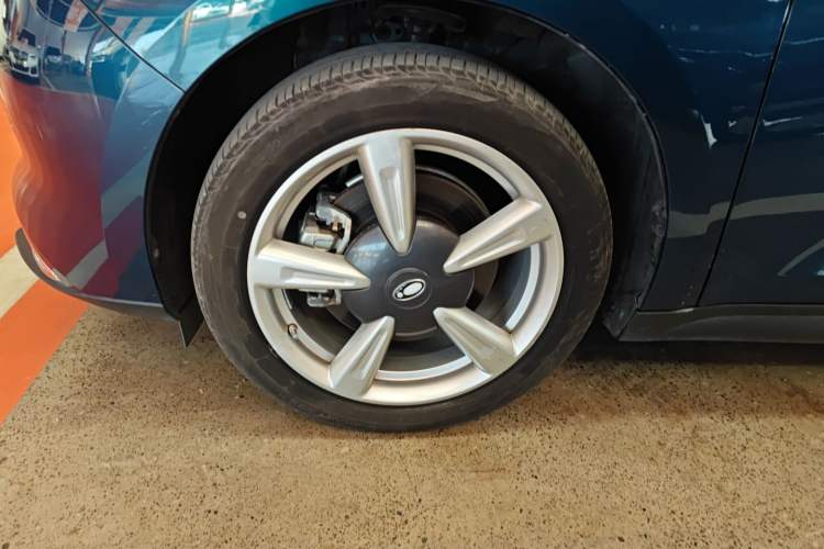 Used ORA Good Cat 2022 Morandi Edition 400km Standard Range Luxury Version Lithium-Ion Battery
