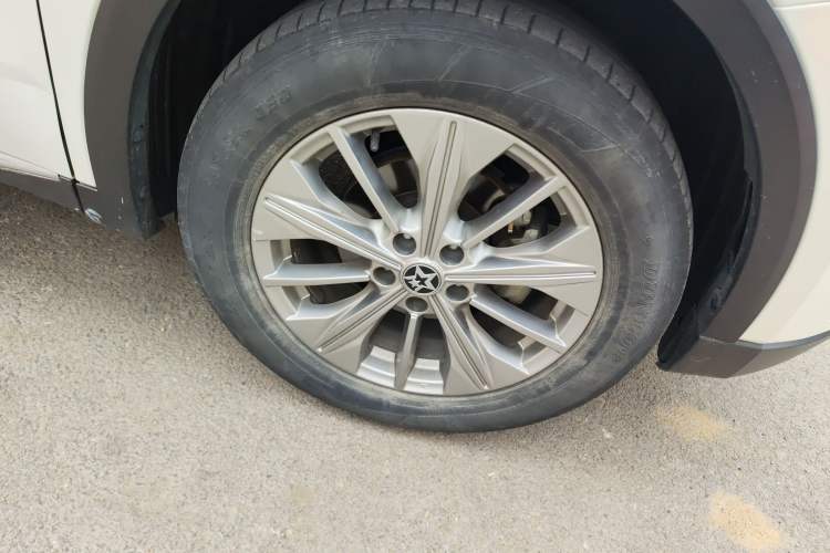 Used Venucia Star 2020 260T Automatic XingShang Edition

