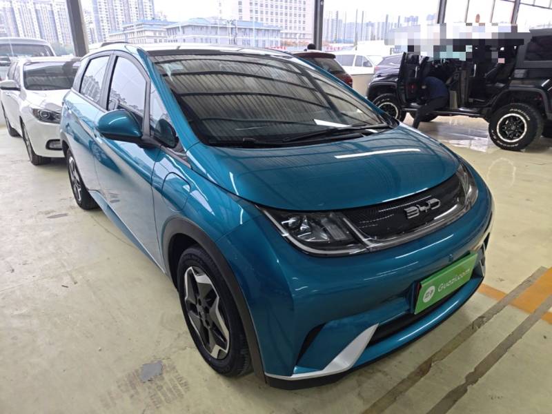 Used BYD Dolphin 2021 405 km Fashion Edition — 3