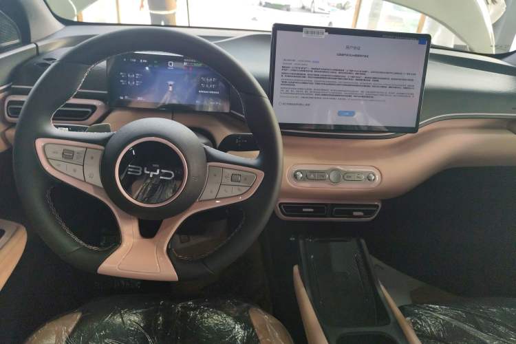 Used BYD Seagull 2025 Smart Drive Version 305 km Freedom Edition Gear Lever