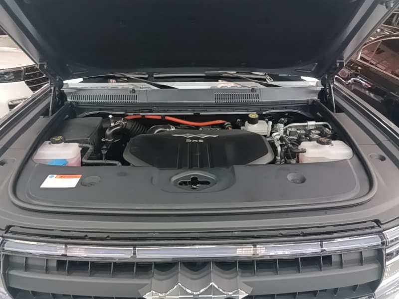 Used Formula Leopard 5 2025 TianShen Intelligent Driving Max Edition — 19