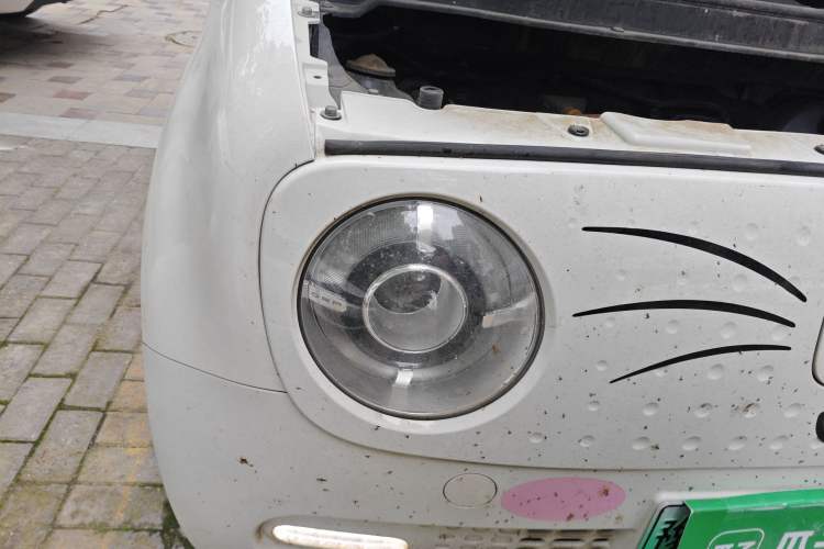 Used ORA Black Cat 2021 351 km Luxury Version Right Front Headlight