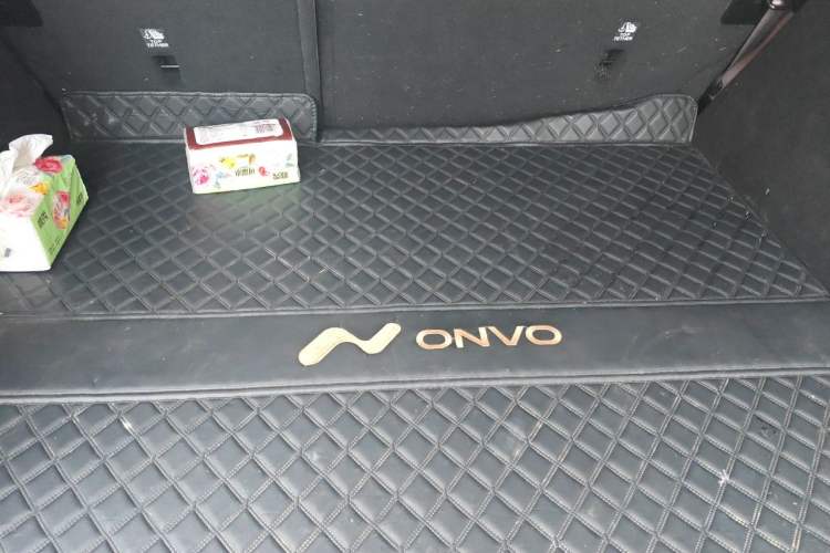 Used ONVO L60 2024 60 kWh Rear-Drive Version
