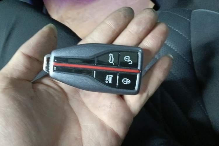 Used Hongqi HS5 2022 Revised Version 2.0T Smart Connect Flagship Edition Vehicle Key