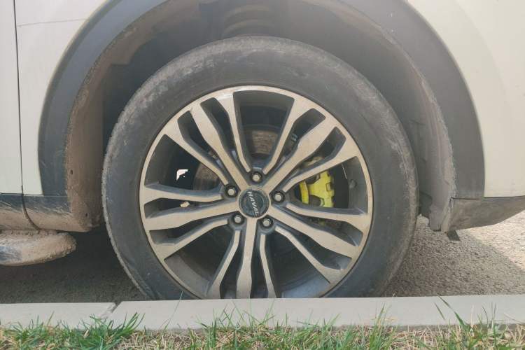 Used Haval F7 2019 2.0T Four-Wheel Drive iJoy China V Standard
