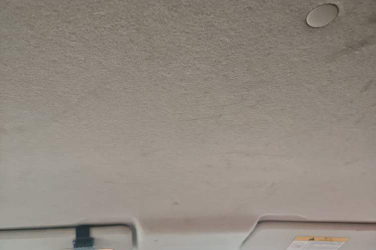 Used CHANGAN Benni E-Star 2021 National Edition Xin Yue Version Lithium Iron Phosphate (31.18 kWh) Headliner