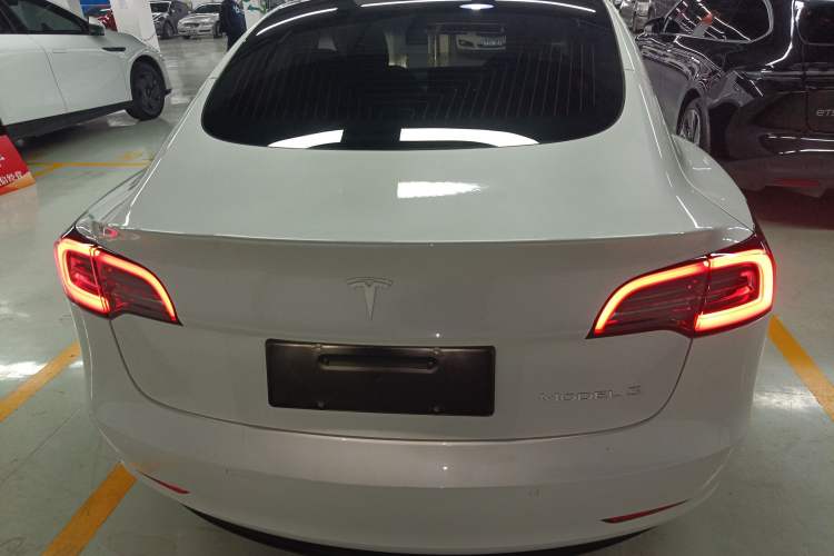 Used Tesla Model 3 2020 Standard Range Rear-Wheel Drive Upgraded Version Rear