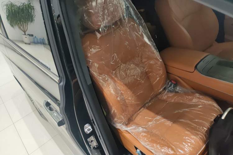 Used Wey Gaoshan 2025 Four-Wheel Drive Alpine 8 Right Front Seat