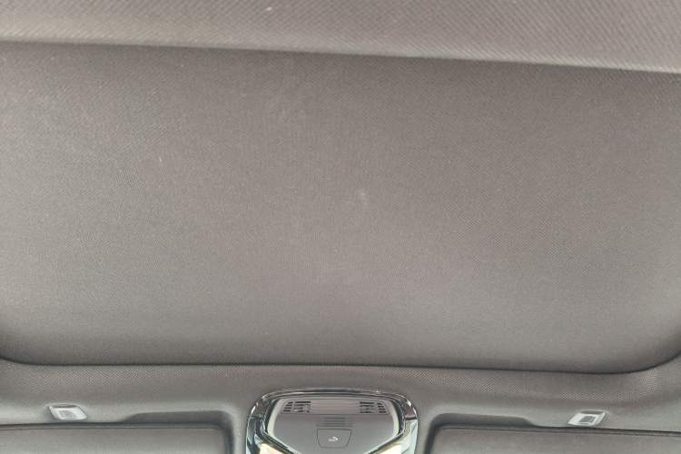 Used BMW 5 Series 2019 530Li Luxury Edition M Sport Package Headliner