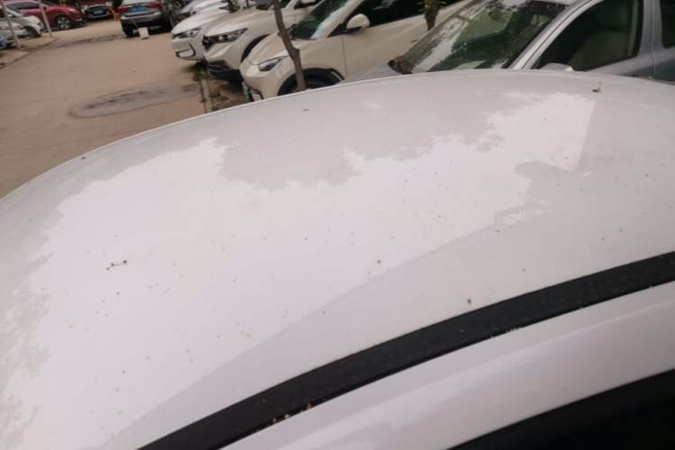 Used BYD Qin PLUS 2025 DM-i Smart Drive 55KM Leading Model Roof