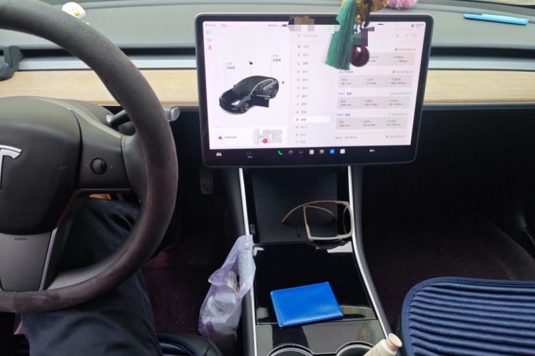 Used Tesla Model 3 2020 Standard Range Rear-Wheel Drive Upgraded Version