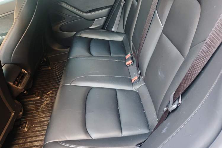 Used Tesla Model 3 2020 Standard Range Rear-Wheel Drive Upgraded Version