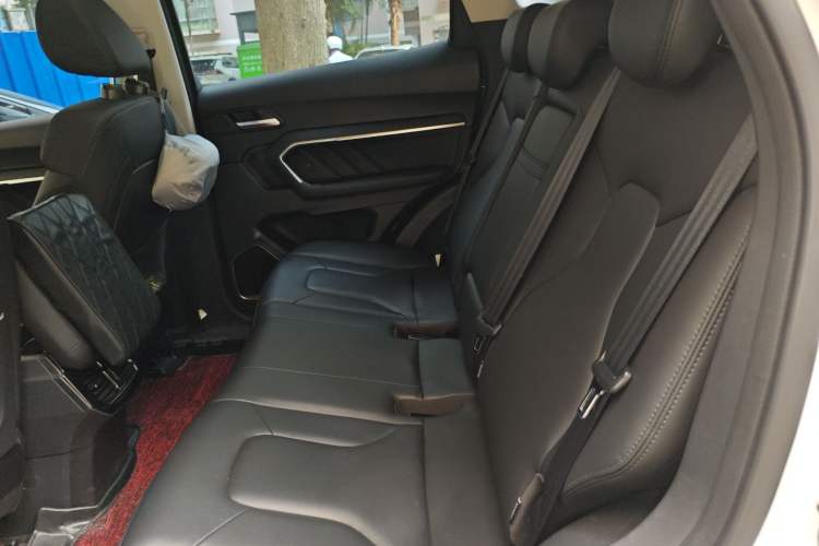 Used Haval H6 2017 Blue Label 1.5T Automatic Two-Wheel Drive ZhiShang Model Left Rear Seat