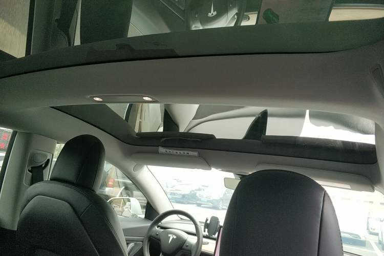 Used Tesla Model 3 2019 Standard Range Rear-Drive Upgraded Version Headliner