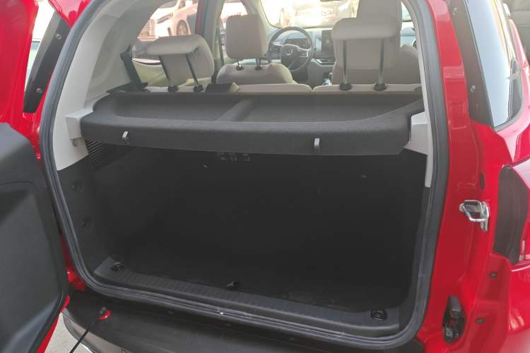 Used BYD Yuan Pro 2021 "Love for a Lifetime" Edition