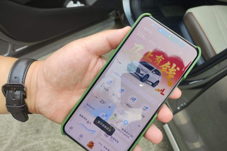 Used BYD Song Pro New Energy 2022 DM-i 51km Prestige Model
