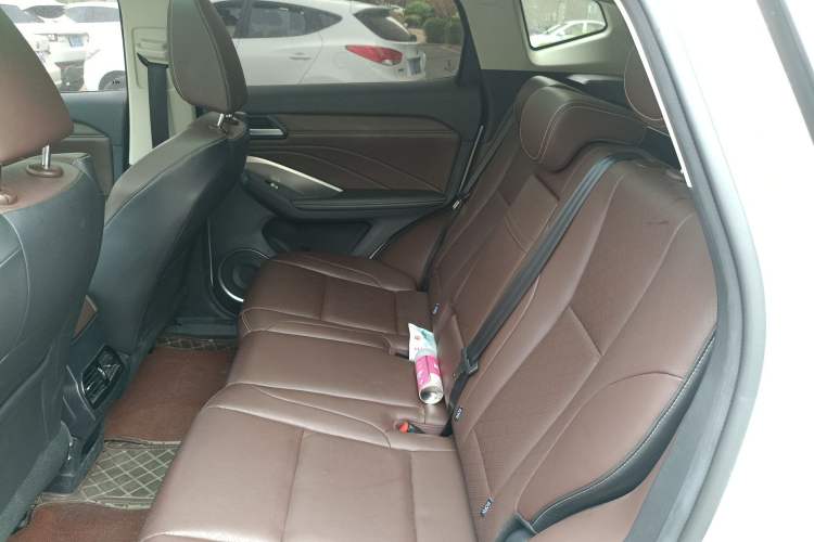 Used Wey VV6 2020 2.0T Two-Wheel Drive Smart Protection+ Left Rear Seat