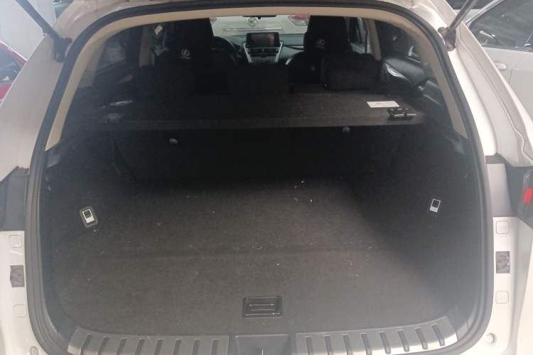 Used Lexus NX 2020 200 Front-Wheel Drive Freeline Edition China VI Standard