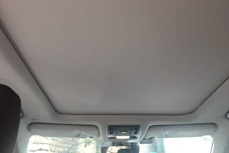 Used Lexus RX 2020 Facelifted 300 4x4 Elegant Edition Headliner