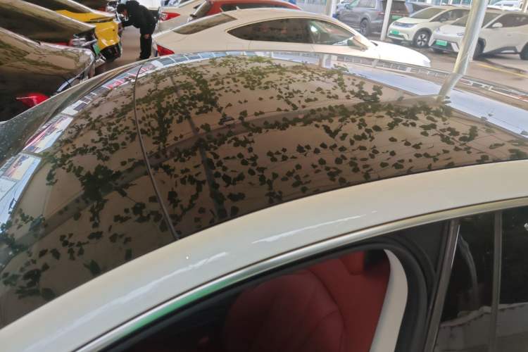 Used XPeng P7 2022 586G
