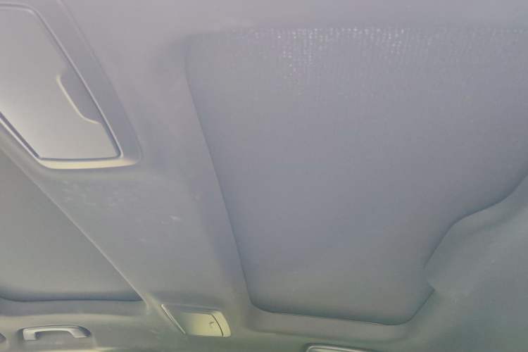 Used BMW 5 Series 2022 Second Facelift 530Li Luxury Version M Sport Package Headliner